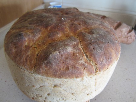 PAN DE CAMPO CENTENO